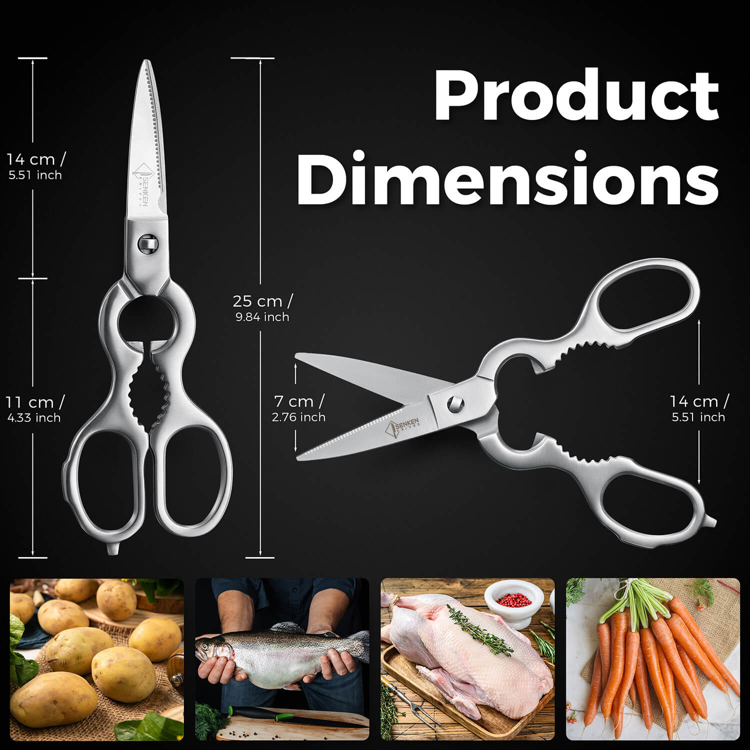 Dynasty Stainless Steel Kitchen Scissors Product Dimensions Measurements Size