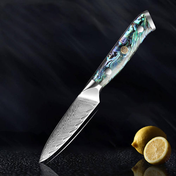 SENKEN Damascus Steel 3.5 Paring Knife with Real Deep-Sea Abalone Shell  Handle - Damascus Peeling Knife - 67-Layer Japanese VG10 Forged Steel  Blade