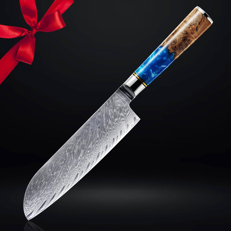 Blue Resin Handle Damascus Santoku Knife Gift Set