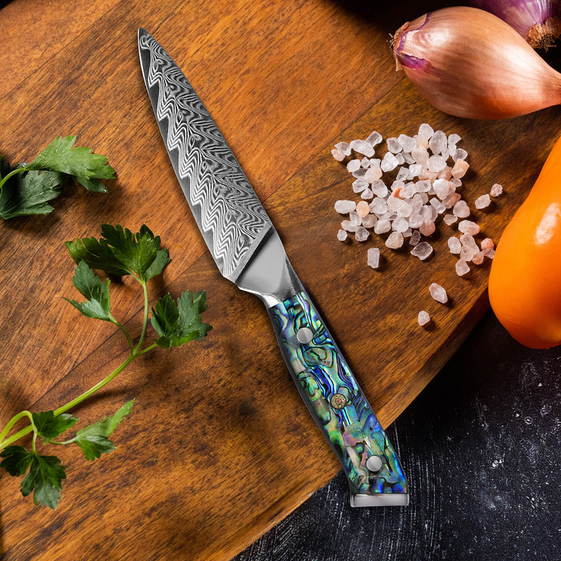 SHIRKHAN Damascus Paring Knife 3.5 Inch - Ultra Sharp Japanese Kitchen  Fruit Knife - 67 Layers High Carbon Hand Hammered Steel Blade 10Cr15CoMoV 