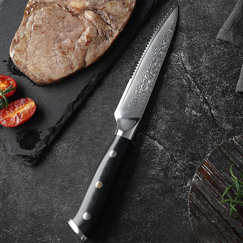 Shogun VG10 Damascus Steel Steak Knife Set - 67-Layer Damascus Steel –  Senken Knives