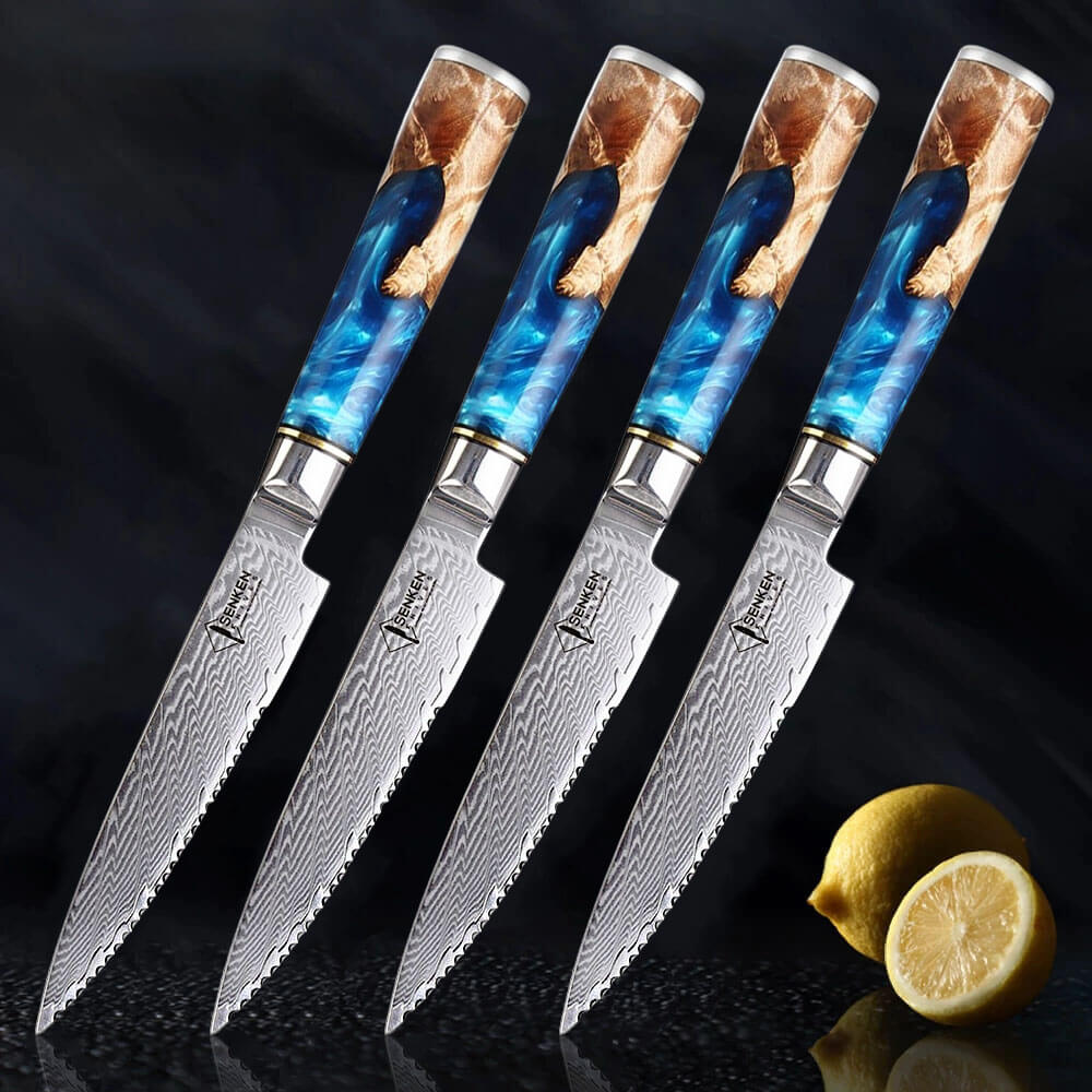 XT XITUO Damascus Steel Knife - 5 Piece Set - Tsunami Collection - 67-Layer  Japanese VG10 Steel Core - Unique Blue Resin Wood Handle - Gift Box 