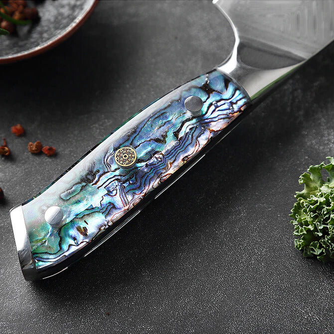  SENKEN Damascus Steel Kitchen Knife Set - Umi Collection -  67-Layer Japanese VG10 Steel, Real Deep-Sea Abalone Shell Handle, Chef's  Knife, Santoku, Paring, Fillet, Utility (5-Piece Damascus Knife Set): Home 